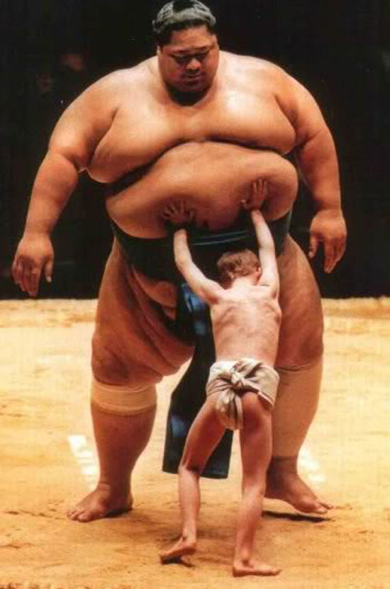 sumo-wrestler