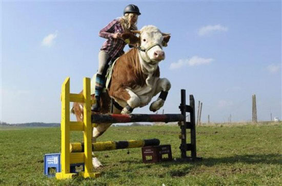 supercow