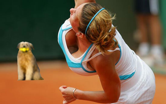 tennis my favourite all the time 4667