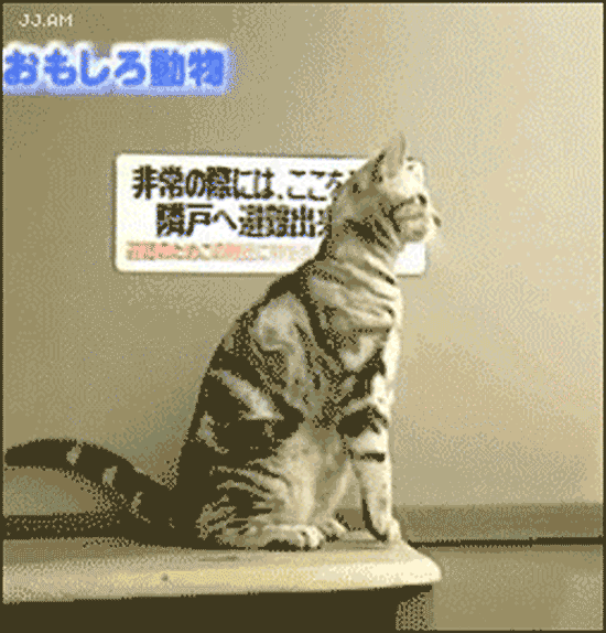 tgQeB