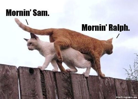 thats how we roll
