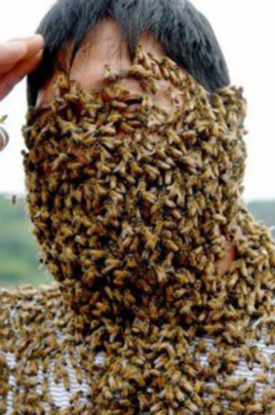 the beekeeper