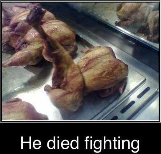 the chick died fighting