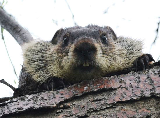the fuk are you looking at