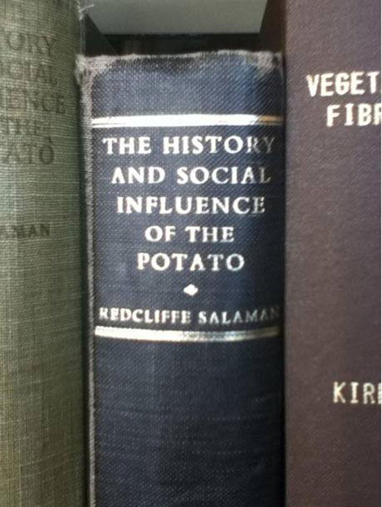 The History and Social