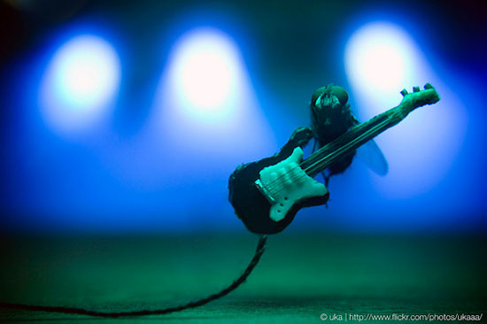 the letz rock fly