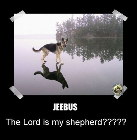 the loard is my shepherd 4948-1