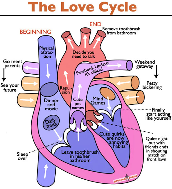 the love cycle 4820