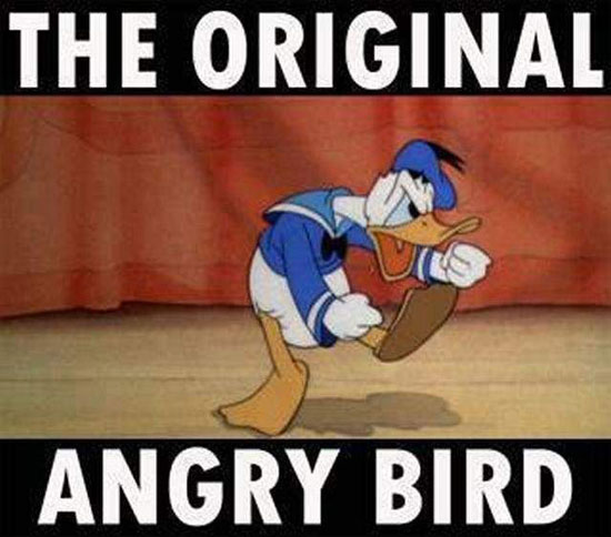 The Original Angry Bird