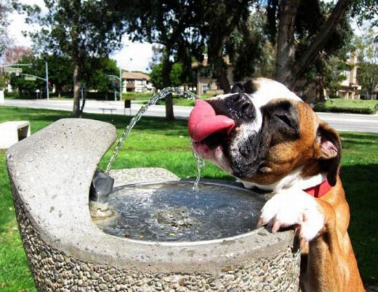 thirstyhellip