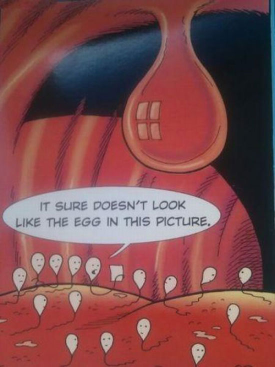 this doesnt look like egg in this picture
