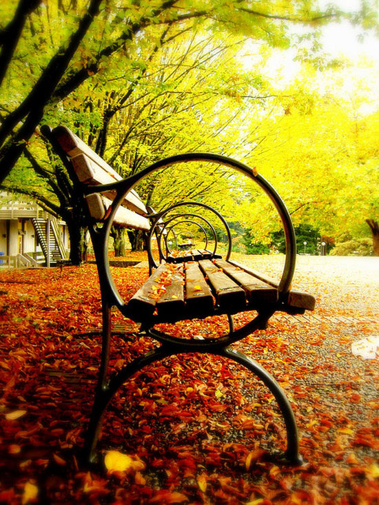 through the park benches
