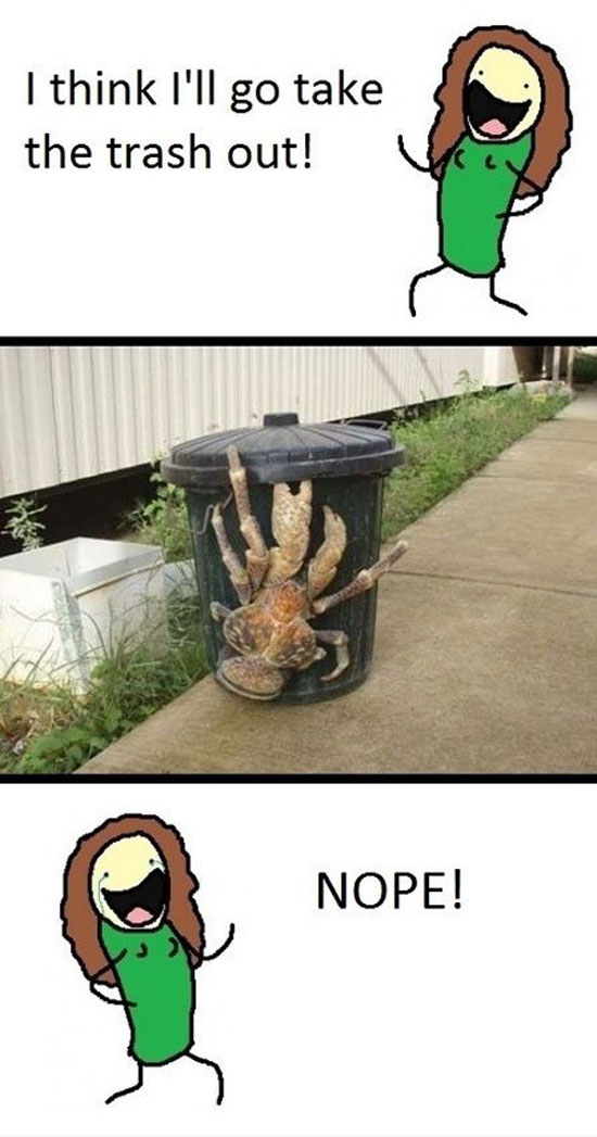 trashlater