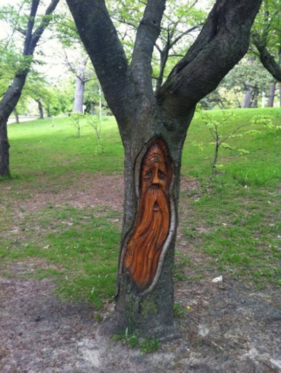 tree man