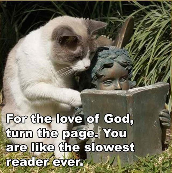 turn the page