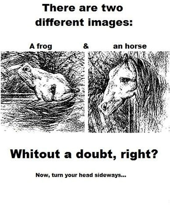 two different images