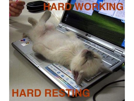 up till morning on the internet