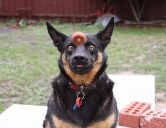 visual contact