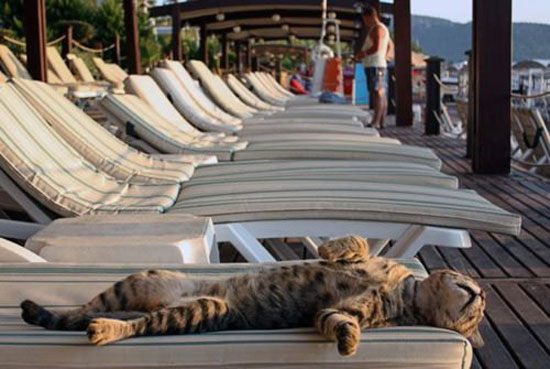 Voll Abchillen