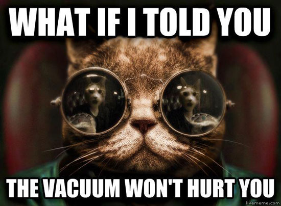 Wakuum cat