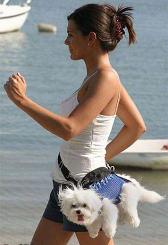 walking the dog