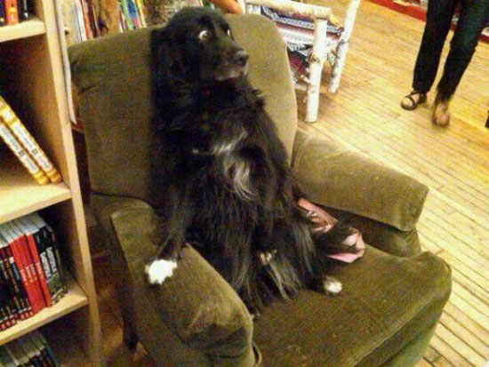watching a scary movie
