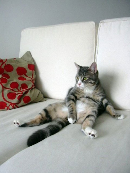 watching tv