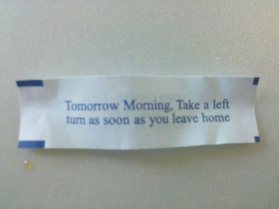 weird fortune cookie