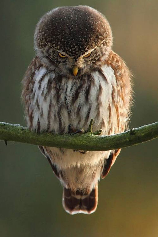 what are you looking at