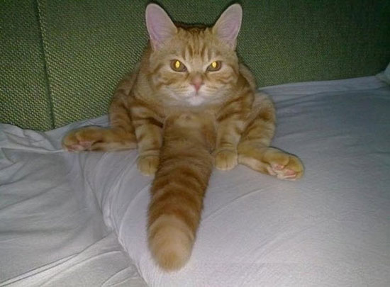 What are you looking at