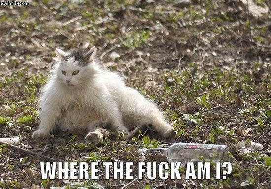 where the fuk i am