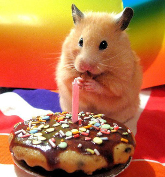 wish me a good birthday