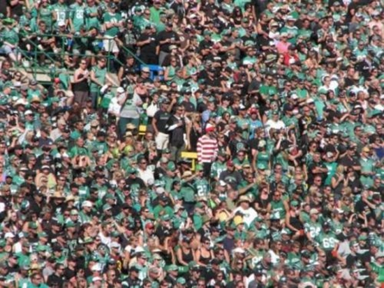 Wo ist Walter - Win Bild
