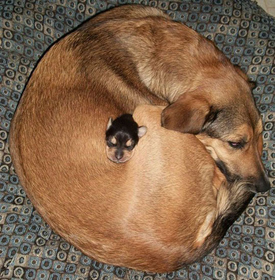 works better than a sleeping bag