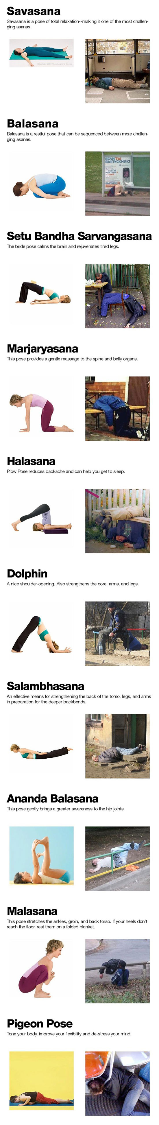 yoga vs vodka