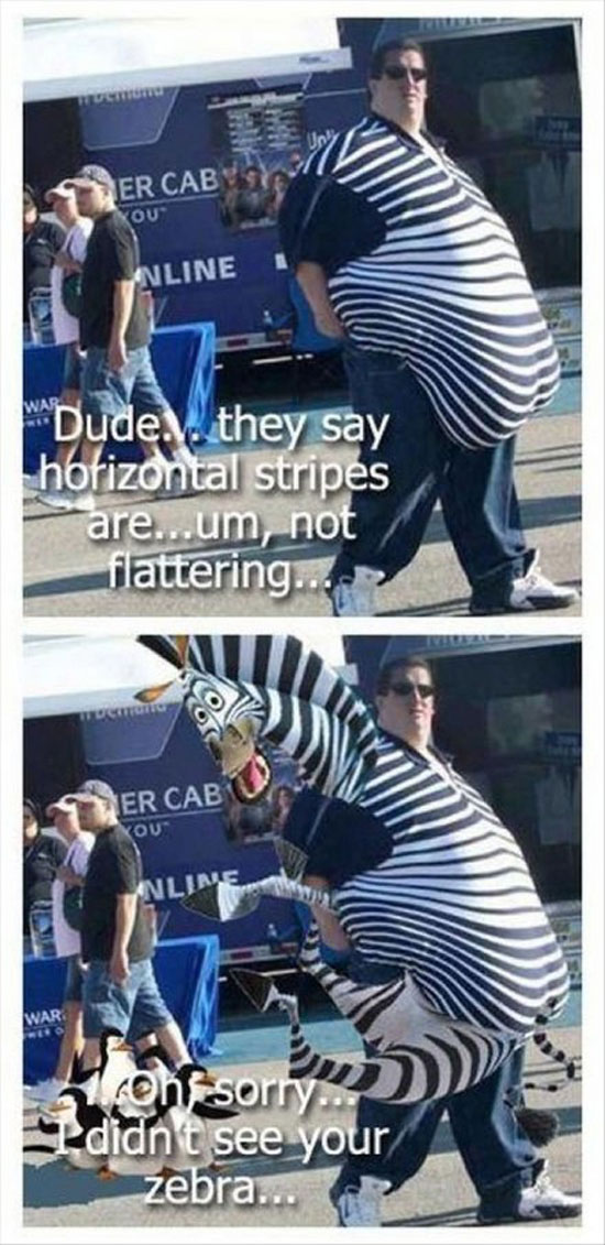 zebra stripes
