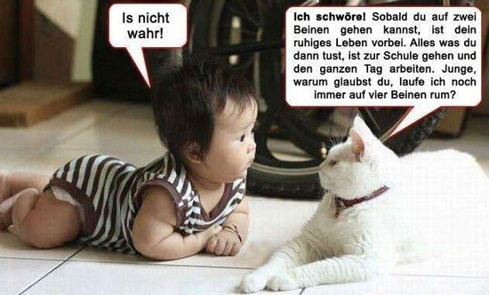 Zweibeiner-Vierbeiner