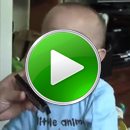 baby-mundharmonika