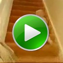 baby-treppe
