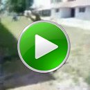 dog-backflip