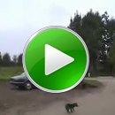 fun-car-jump-fail