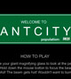 Antcity