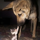 He du spielen