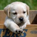 Hey du hilf mir raus