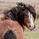 hey hörst du auf mich zu fotografieren