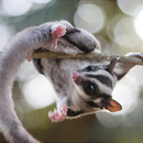 Hmmm da war doch noch was vorher