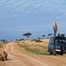 Irgendwann muss der runterkommen