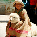 Dream Team mit einem Lam