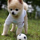 Lets Play