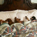 Man die dürfen wieder ausschlafen